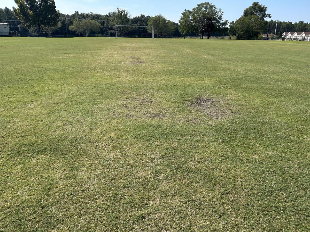 This is the view of the middle of the field. Several pot holes can be seen, which may be potential trip hazards.