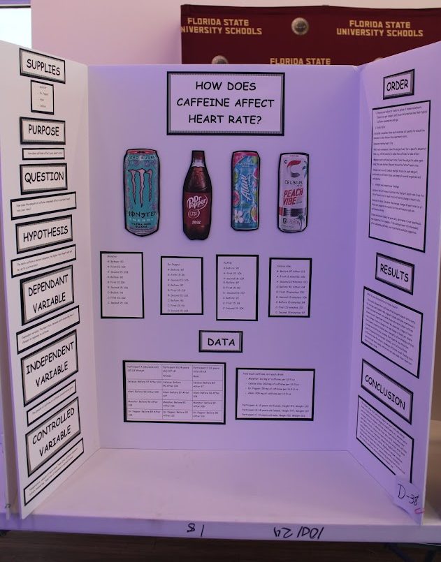 Students who submitted projects put in a lot of effort. They spent weeks following the scientific method to perfect their projects and created displays to showcase their work.